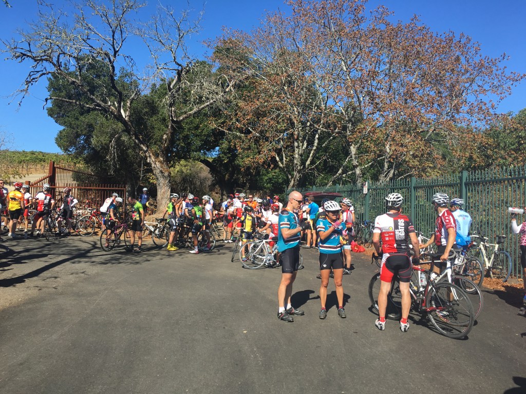 Cyclists hang out after reaching the summit of Montebello Road.