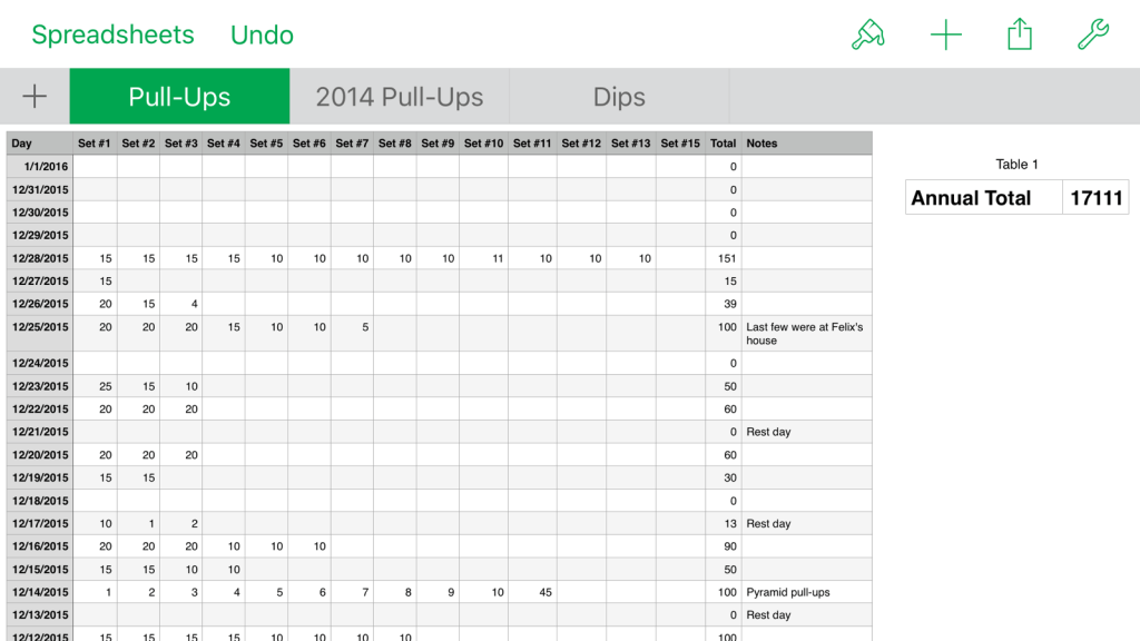 17,111 Pull-Ups for&nbsp;2015
