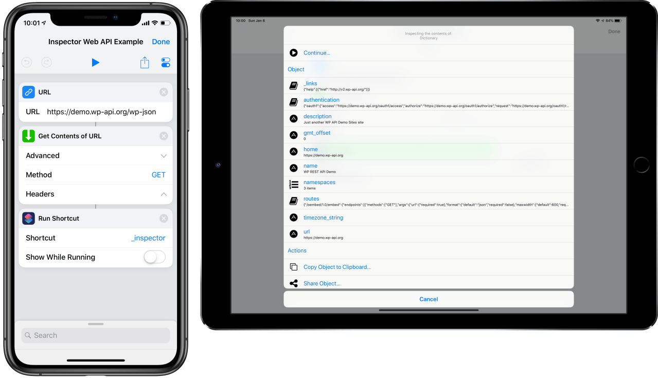 Inspecting a web API request