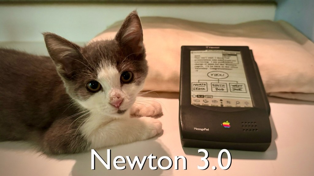 Introducing Newton 3.0