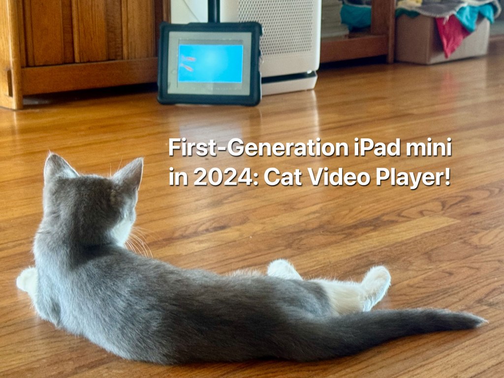 A use in 2024 for a first-gen iPad&nbsp;mini!